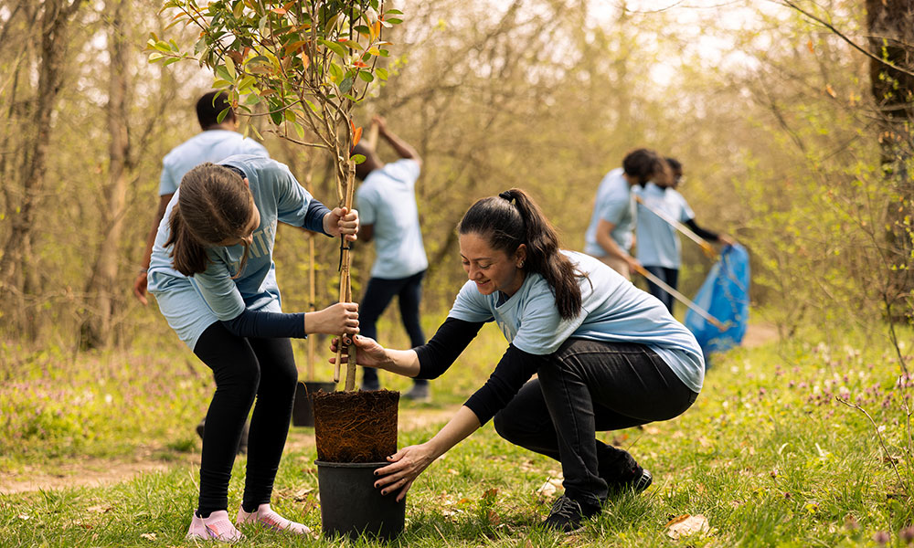 Tree Planting