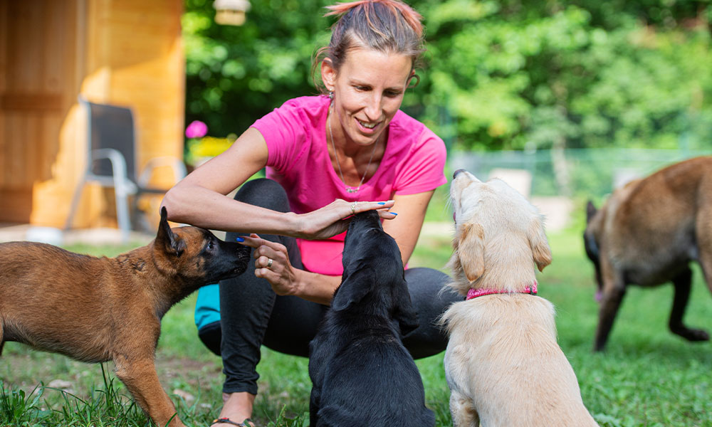 Woman Volunteering in an Animal Shelter