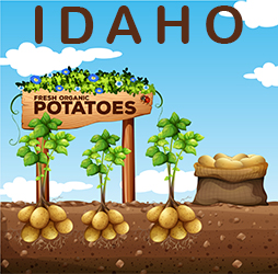 Discover Idaho